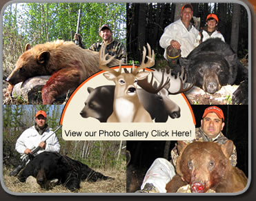 Bear Hunting Photo