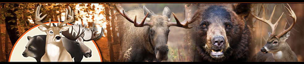 Pierceland Outfitters - Moose, Black Bear, Whitetail Deer